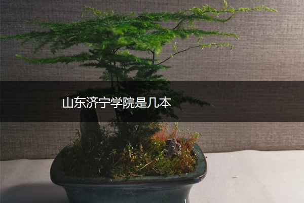 山东济宁学院是几本