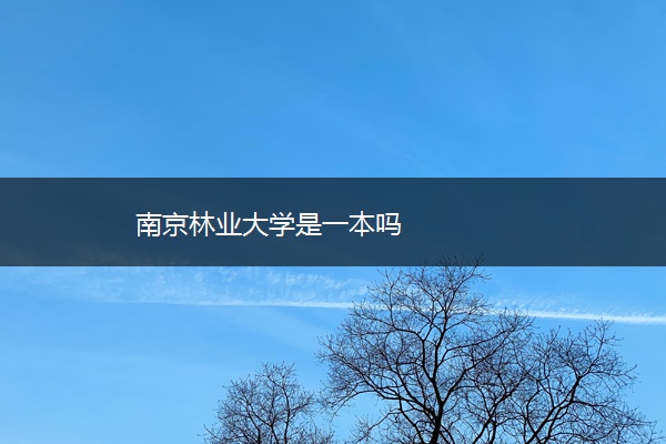南京林业大学是一本吗