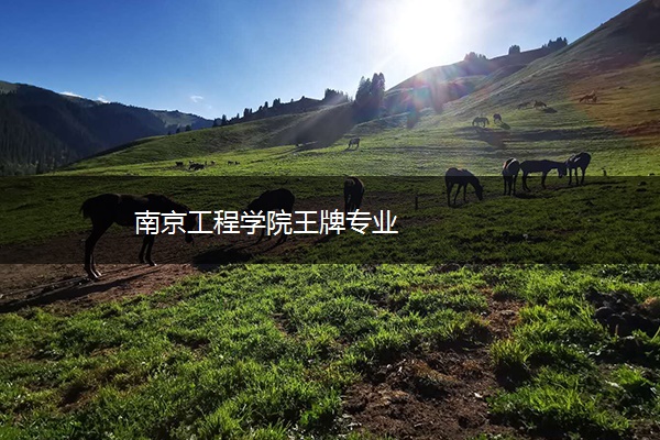 南京工程学院王牌专业