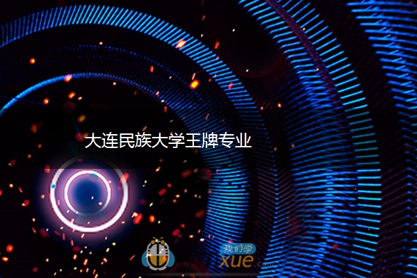 大连民族大学王牌专业