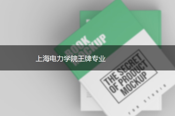 上海电力学院王牌专业