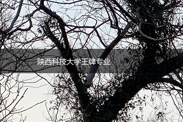 陕西科技大学王牌专业