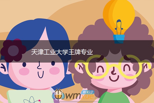 天津工业大学王牌专业