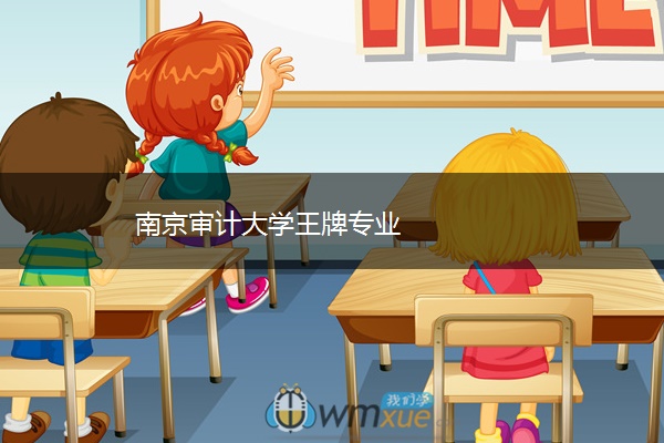 南京审计大学王牌专业