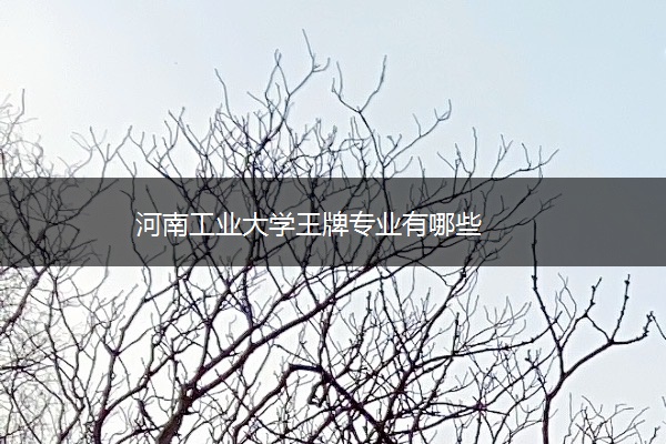河南工业大学王牌专业有哪些