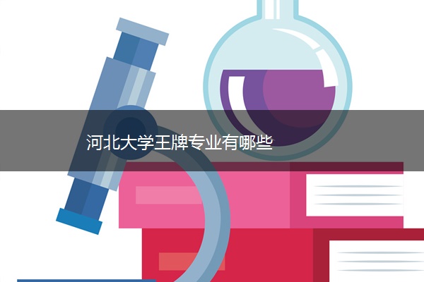 河北大学王牌专业有哪些