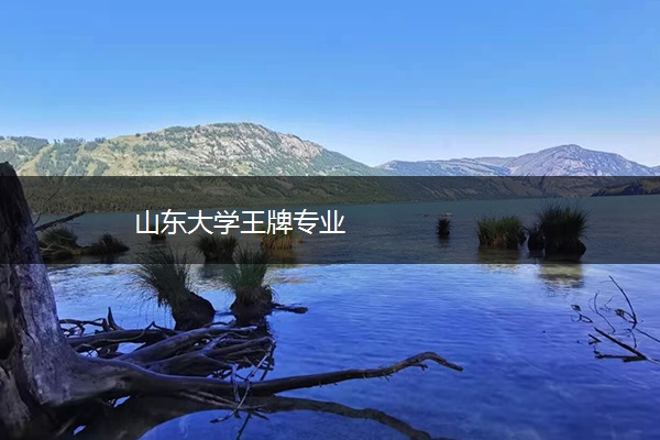 山东大学王牌专业