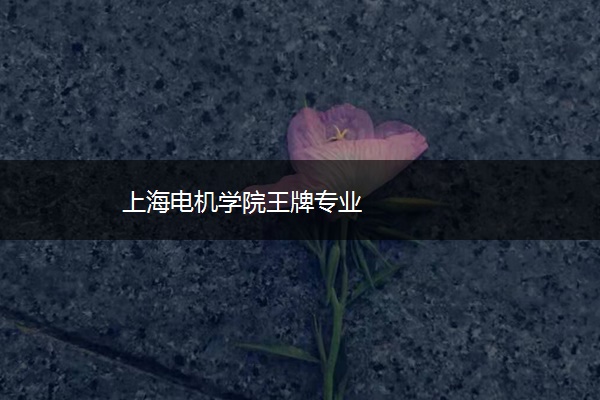 上海电机学院王牌专业