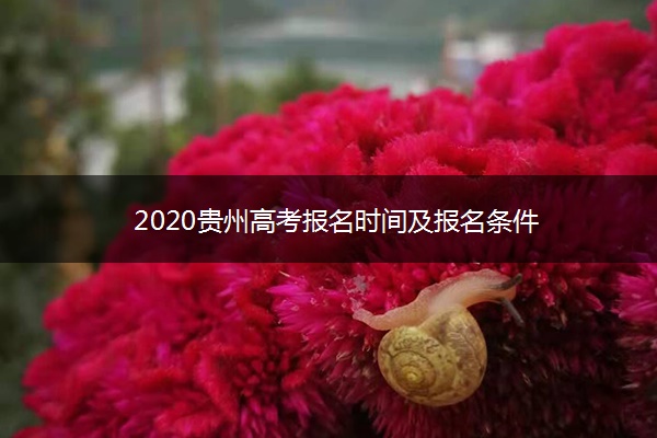 2020贵州高考报名时间及报名条件