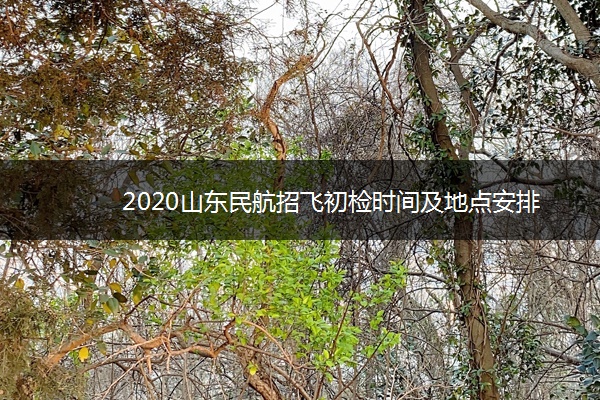 2020山东民航招飞初检时间及地点安排