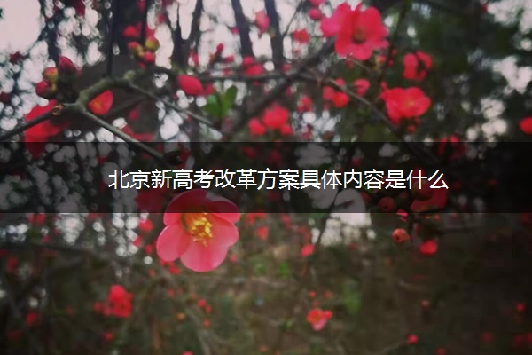 北京新高考改革方案具体内容是什么