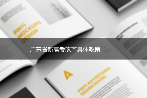 广东省新高考改革具体政策