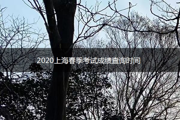 2020上海春季考试成绩查询时间
