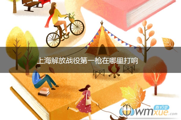 上海解放战役第一枪在哪里打响