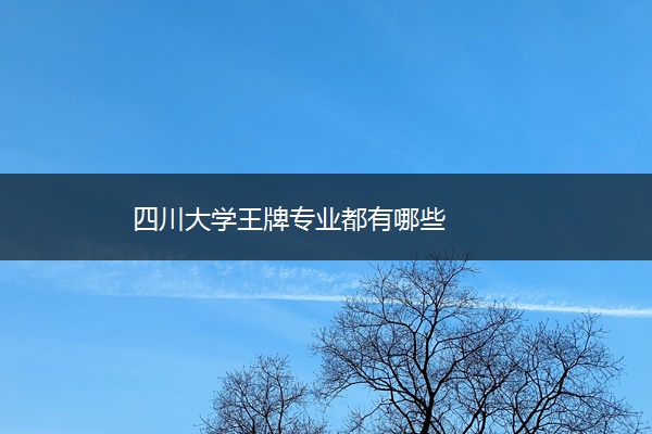 四川大学王牌专业都有哪些