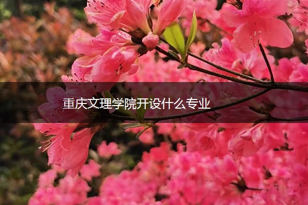 重庆文理学院开设什么专业