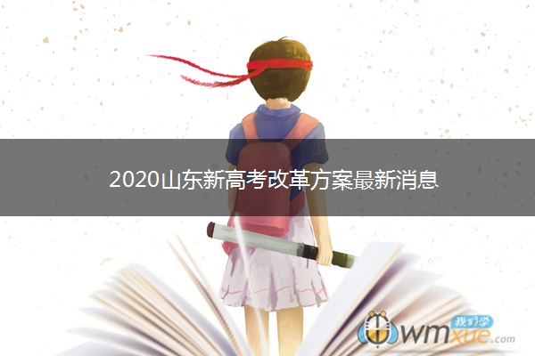 2020山东新高考改革方案最新消息