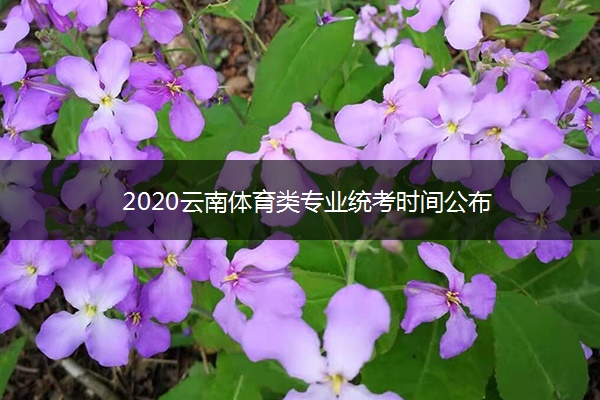 2020云南体育类专业统考时间公布