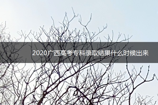 2020广西高考专科录取结果什么时候出来