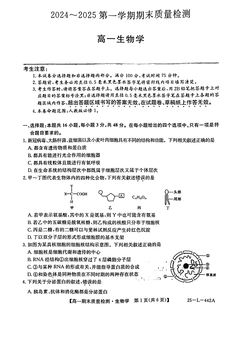 陕西榆林八校联考2024-2025学年高一上学期1月期末生物试题及答案