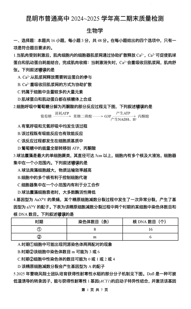 昆明市2024-2025学年高二下学期期末生物试题及答案